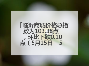 临沂商城价格总指数为103.38点，环比下跌0.10点（5月15日—5月21日）