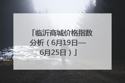 临沂商城价格指数分析（6月19日—6月25日）