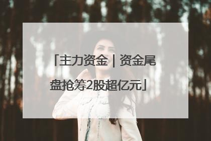 主力资金｜资金尾盘抢筹2股超亿元