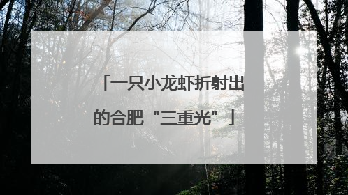 一只小龙虾折射出的合肥“三重光”