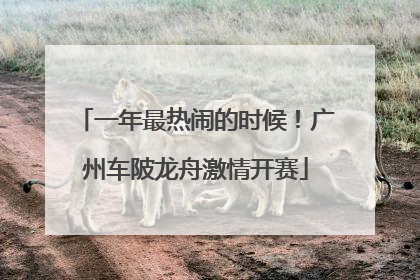 一年最热闹的时候！广州车陂龙舟激情开赛