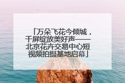万朵飞花今倾城，千屏绽放美好声——北京花卉交易中心短视频拍摄基地启幕