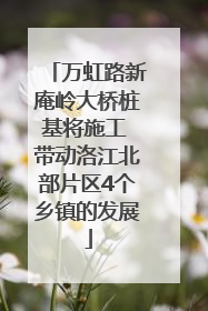 万虹路新庵岭大桥桩基将施工 带动洛江北部片区4个乡镇的发展