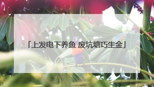 上发电下养鱼 废坑塘巧生金