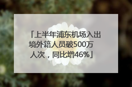 上半年浦东机场入出境外籍人员破500万人次，同比增46%