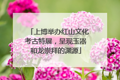 上博举办红山文化考古特展，呈现玉器和龙崇拜的渊源