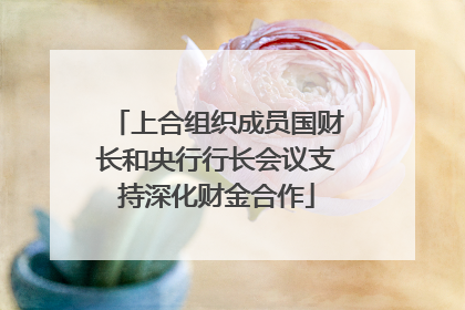 上合组织成员国财长和央行行长会议支持深化财金合作
