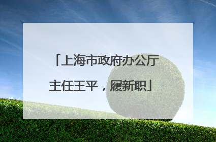 上海市政府办公厅主任王平，履新职