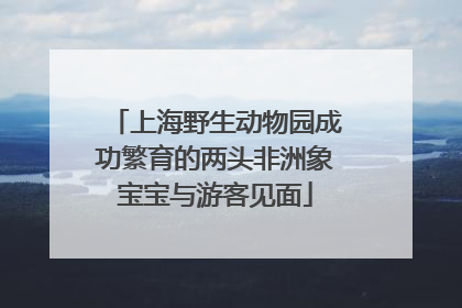上海野生动物园成功繁育的两头非洲象宝宝与游客见面