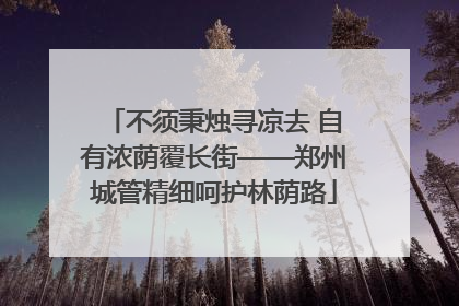 不须秉烛寻凉去 自有浓荫覆长街——郑州城管精细呵护林荫路