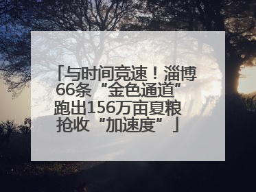 与时间竞速！淄博66条“金色通道”跑出156万亩夏粮抢收“加速度”