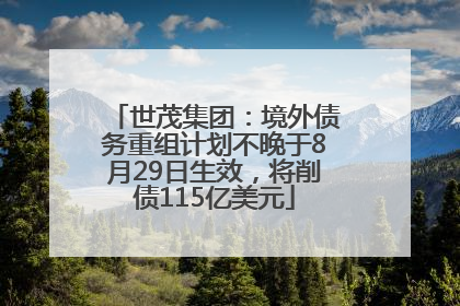 世茂集团：境外债务重组计划不晚于8月29日生效，将削债115亿美元