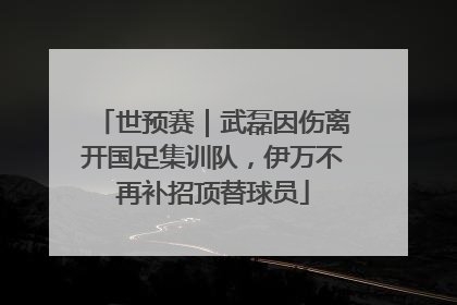 世预赛｜武磊因伤离开国足集训队，伊万不再补招顶替球员