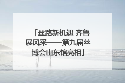 丝路新机遇 齐鲁展风采——第九届丝博会山东馆亮相