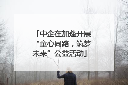 中企在加蓬开展“童心同路，筑梦未来”公益活动