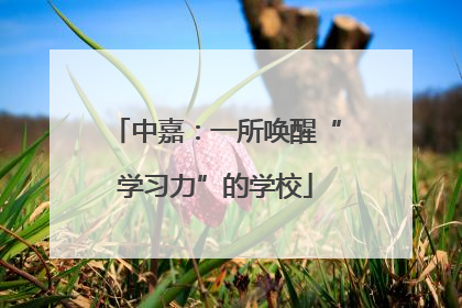 中嘉：一所唤醒“学习力”的学校