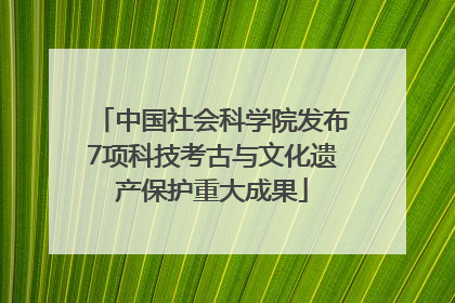 中国社会科学院发布7项科技考古与文化遗产保护重大成果