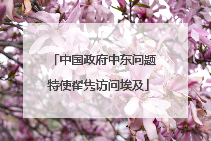 中国政府中东问题特使翟隽访问埃及
