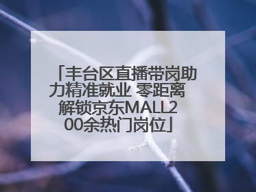 丰台区直播带岗助力精准就业 零距离解锁京东MALL200余热门岗位