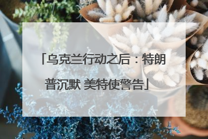 乌克兰行动之后：特朗普沉默 美特使警告