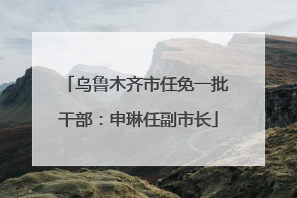 乌鲁木齐市任免一批干部：申琳任副市长