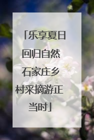 乐享夏日 回归自然 石家庄乡村采摘游正当时