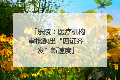 乐陵：医疗机构审批跑出“四证齐发”新速度