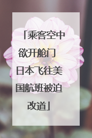乘客空中欲开舱门 日本飞往美国航班被迫改道