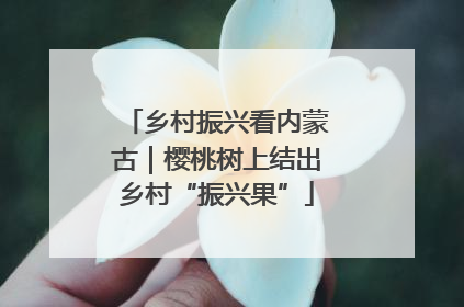 乡村振兴看内蒙古|樱桃树上结出乡村“振兴果”