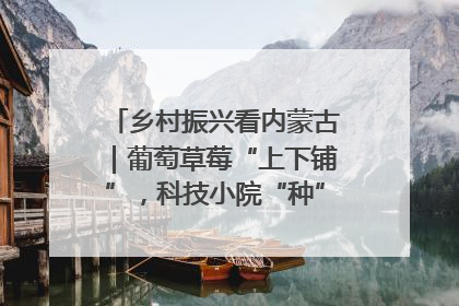 乡村振兴看内蒙古｜葡萄草莓“上下铺”，科技小院“种”出三倍效益