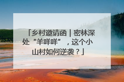 乡村邀请函｜密林深处“羊咩咩”，这个小山村如何逆袭？