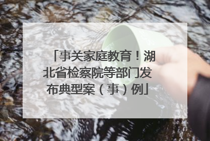 事关家庭教育！湖北省检察院等部门发布典型案（事）例