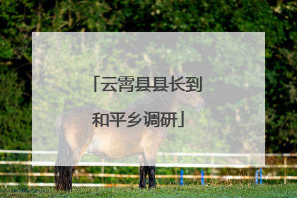 云霄县县长到和平乡调研