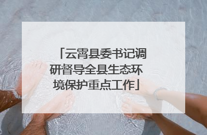 云霄县委书记调研督导全县生态环境保护重点工作