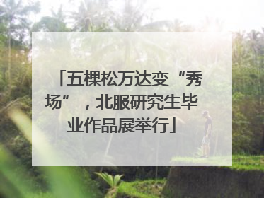 五棵松万达变“秀场”，北服研究生毕业作品展举行