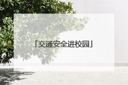 交通安全进校园