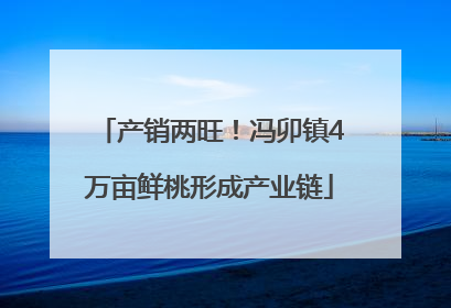 产销两旺！冯卯镇4万亩鲜桃形成产业链