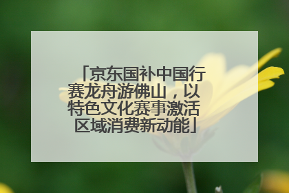 京东国补中国行赛龙舟游佛山，以特色文化赛事激活区域消费新动能