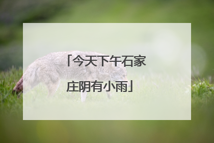 今天下午石家庄阴有小雨