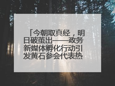 今朝取真经，明日破茧出——政务新媒体孵化行动引发黄石参会代表热烈反响