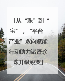 从“珠”到“宝”，“平台+产业”双向赋能行动助力诸暨珍珠升级蜕变