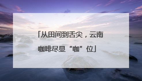 从田间到舌尖，云南咖啡尽显“咖”位