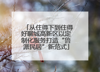 从住得下到住得好聊城高新区以定制化服务打造“鲁派民居”新范式
