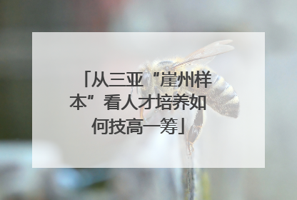 从三亚“崖州样本”看人才培养如何技高一筹