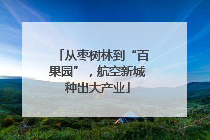 从枣树林到“百果园”，航空新城种出大产业