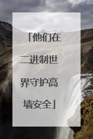 他们在二进制世界守护高墙安全