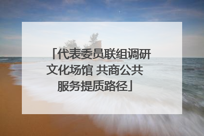 代表委员联组调研文化场馆 共商公共服务提质路径