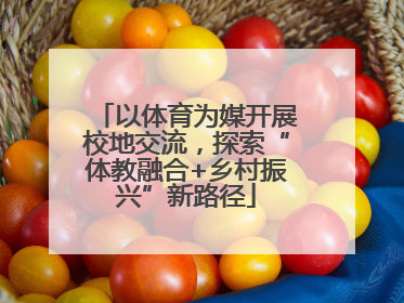 以体育为媒开展校地交流，探索“体教融合+乡村振兴”新路径