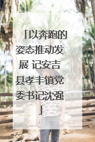 以奔跑的姿态推动发展 记安吉县孝丰镇党委书记沈强