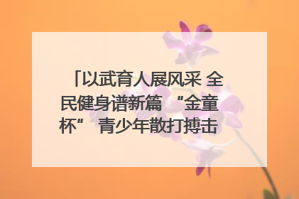 以武育人展风采 全民健身谱新篇 “金童杯” 青少年散打搏击邀请赛圆满落幕